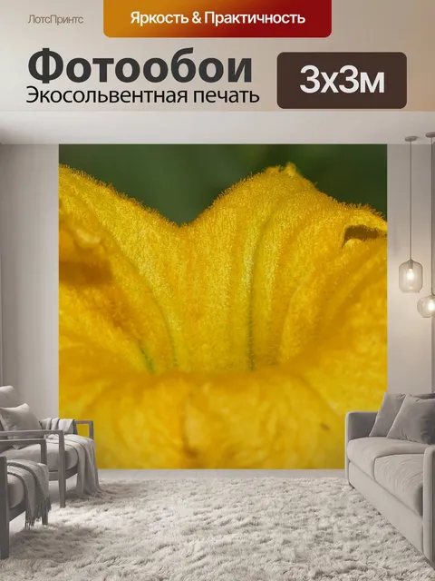 Фотообои Цукка