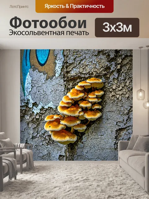 Фотообои грибы плесневые, растущие на заброшенном здании, с разрушающимися стенами и граффити