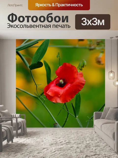 Фотообои Мак