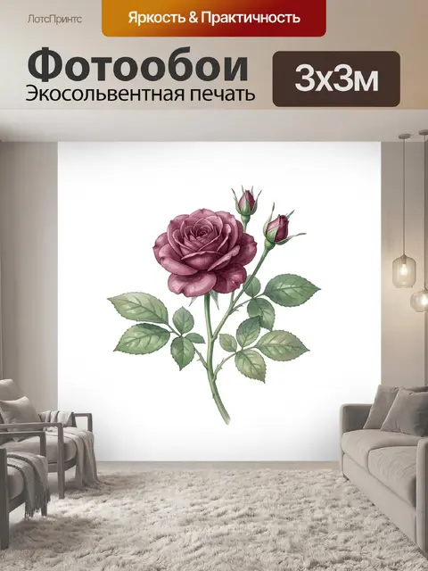 Фотообои Пурпурная роза с бутонами