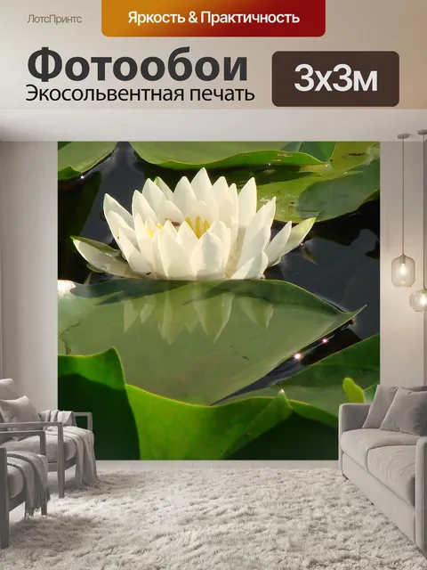 Фотообои Лили Pad