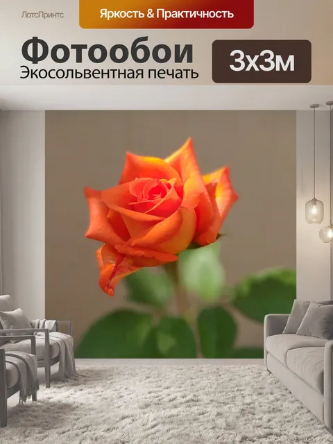 Фотообои Роза