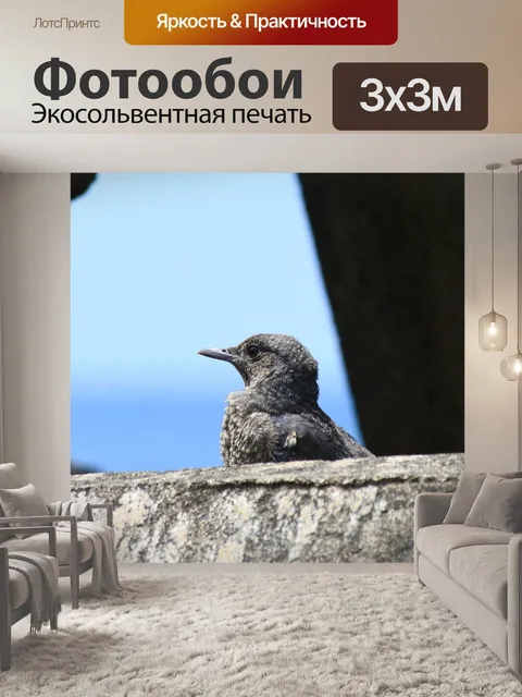 Фотообои Животное