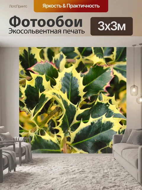 Фотообои Листы