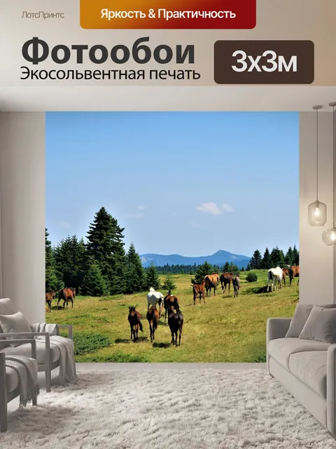 Фотообои Лошади