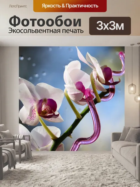 Фотообои Орхидея