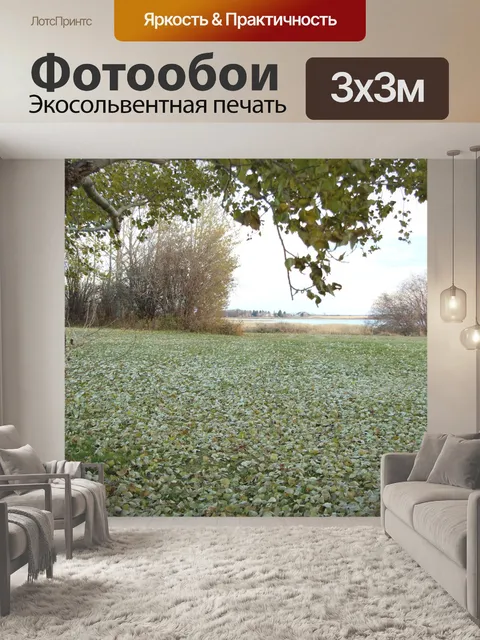 Фотообои Падшие листья деревьев