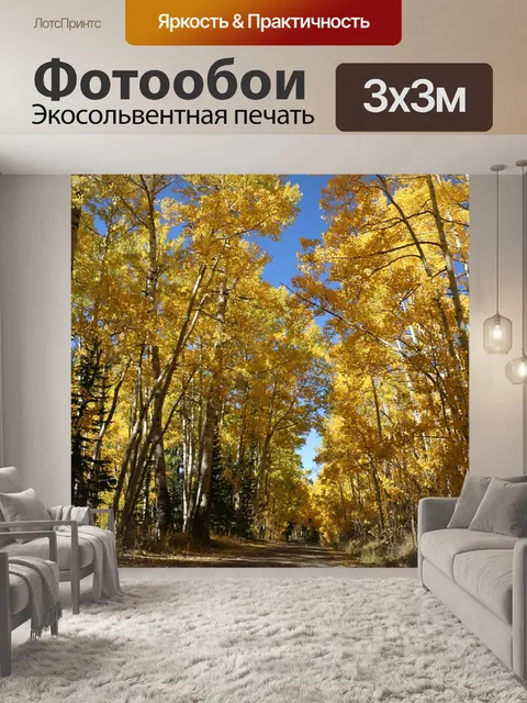 Фотообои Осень