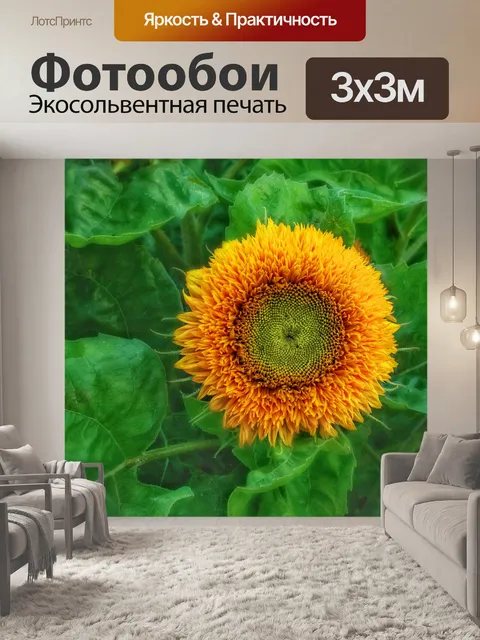 Фотообои Блоссом цветник природа