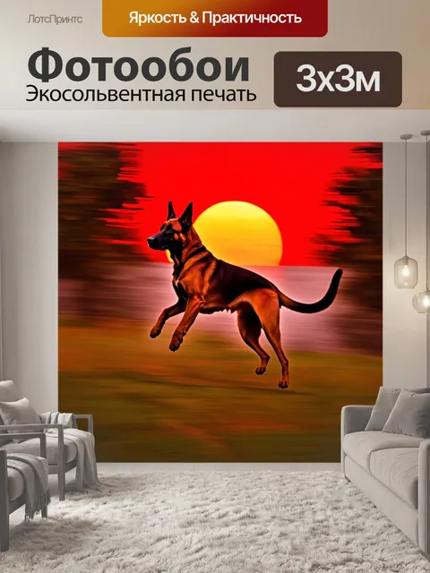 Фотообои динамичное движение малинуа, падающего на фоне яркого красного заката