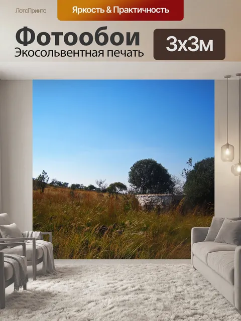 Фотообои плотина между деревьями и растительность