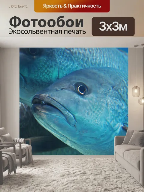 Фотообои река грубиян в аквариуме