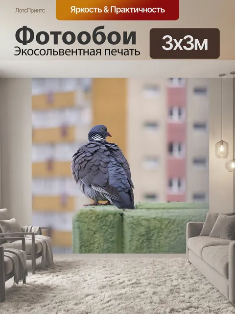 Фотообои Голубь