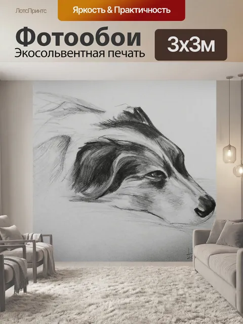 Фотообои Собака