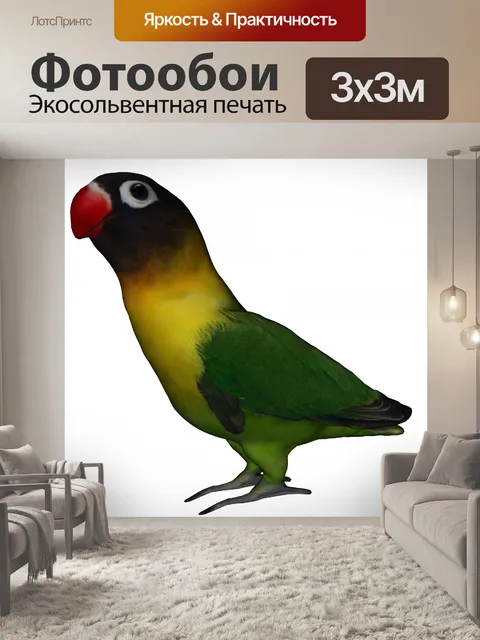 Фотообои неразлучники II