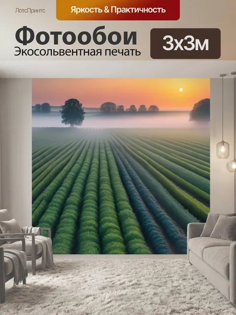 Фотообои туманный рассвет в полях