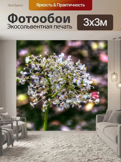 Фотообои Белые цветы