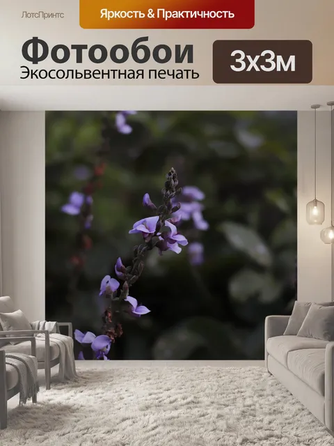 Фотообои Цветок