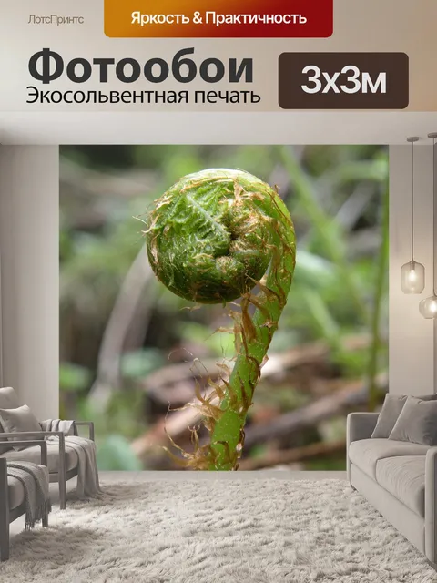Фотообои Папоротник