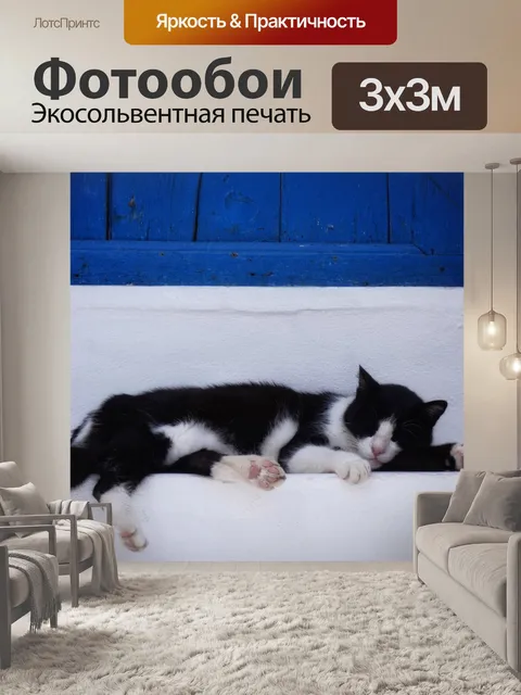Фотообои Кот