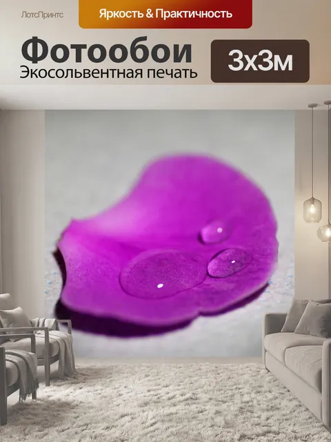 Фотообои Капля воды на лепесток