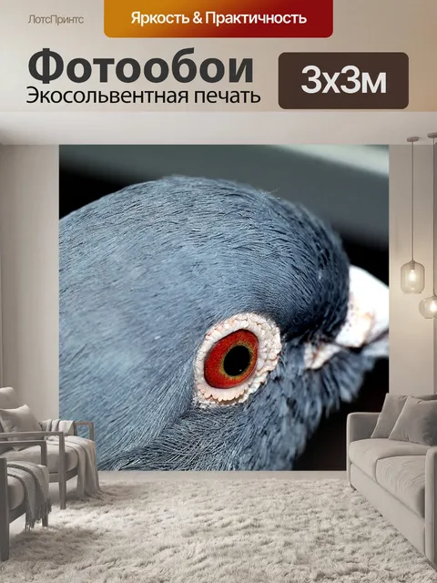 Фотообои Птица