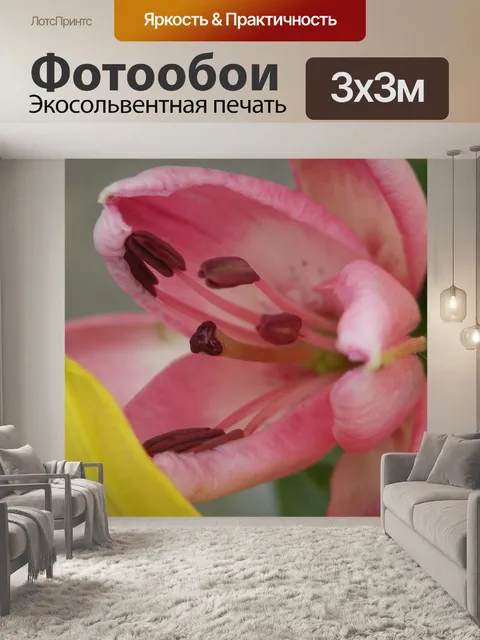Фотообои Цветок