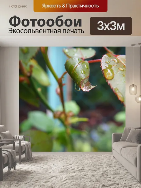 Фотообои Листья