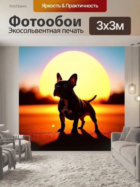 Фотообои силуэт французского бульдога на фоне заката, очаровательные тени и яркие цвета неба