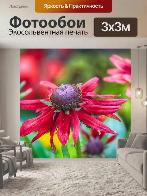 Фотообои Цветы