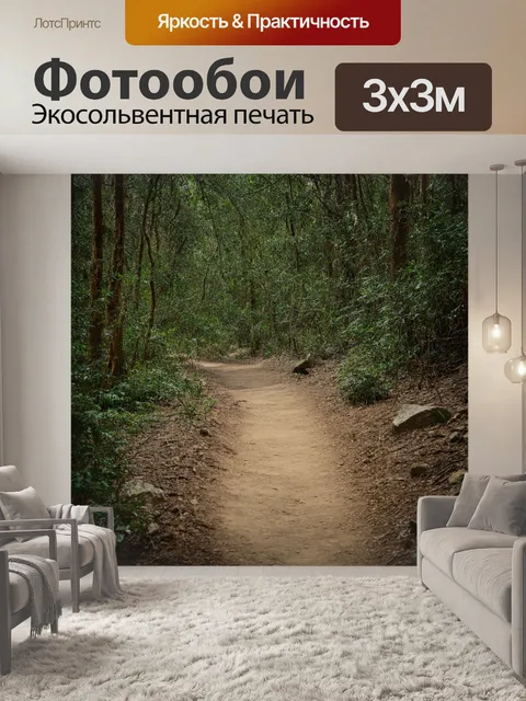 Фотообои джунгли в стиле минимализм: лесной путь