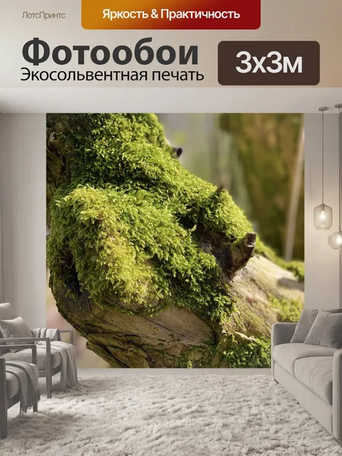Фотообои Мох