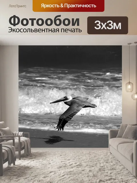 Фотообои Пеликан в полете