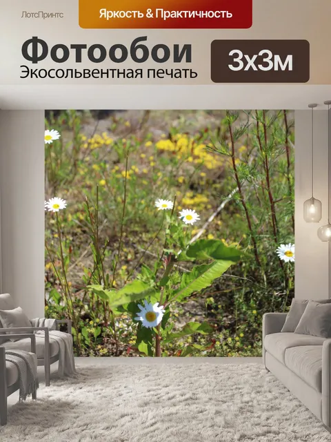 Фотообои Цветы