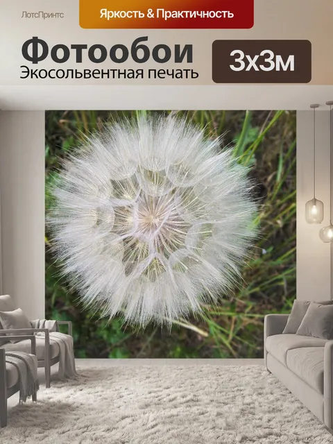 Фотообои Одуванчик