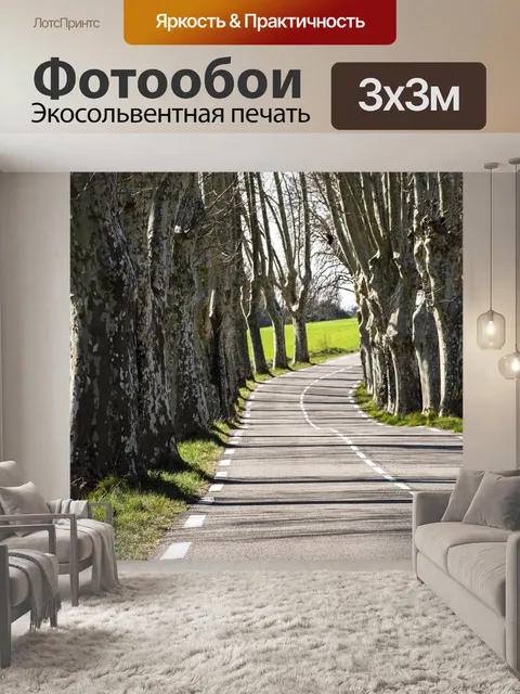 Фотообои Обсаженный деревьями