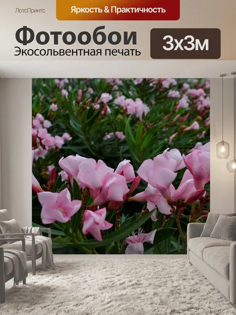Фотообои Цветы