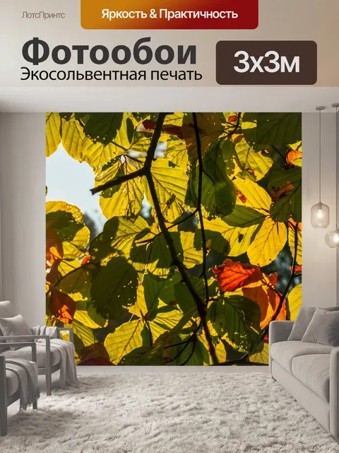 Фотообои Падение