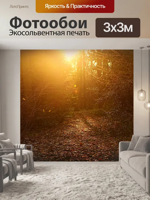 Фотообои Лес