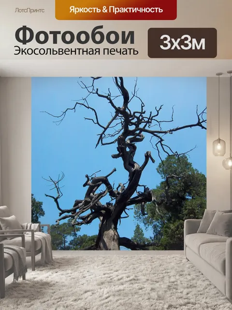 Фотообои Дерево