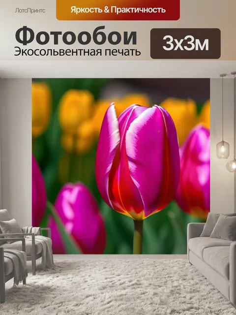 Фотообои контурные тюльпаны на фоне