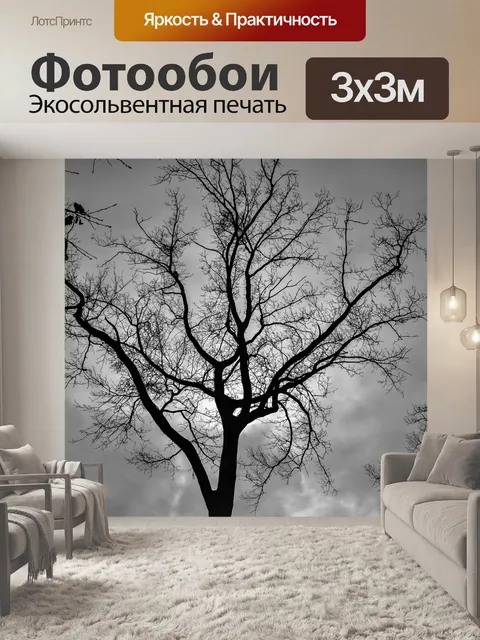 Фотообои Монохромный