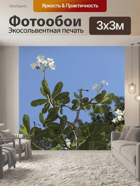 Фотообои Фарфор