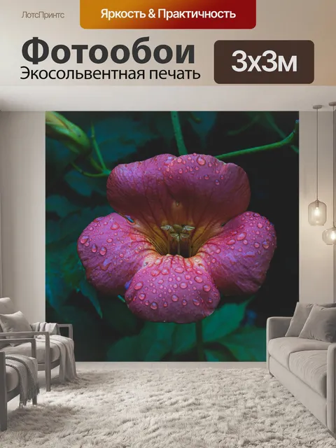 Фотообои Bignone