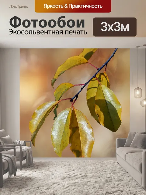 Фотообои Листья