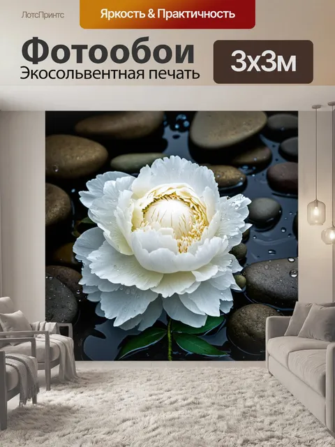 Фотообои перед размокшими после дождя камнями, белый пион распускается, залитый лучами бархатистого света