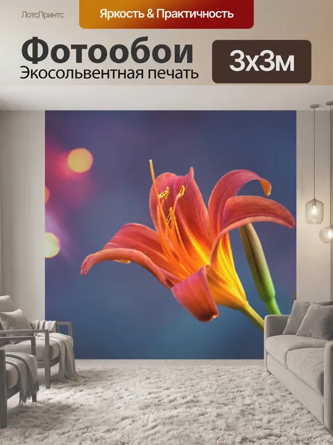 Фотообои Блум цветы блум срезанный цветок