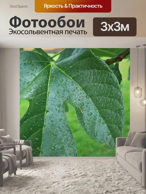 Фотообои смоковница зеленый лист