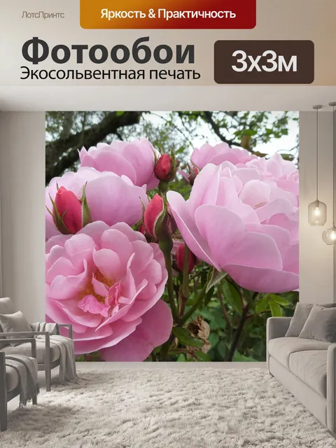 Фотообои Роза