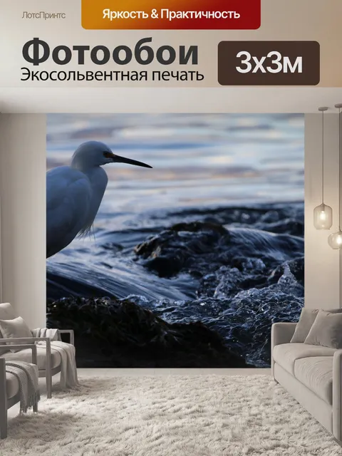 Фотообои Птица